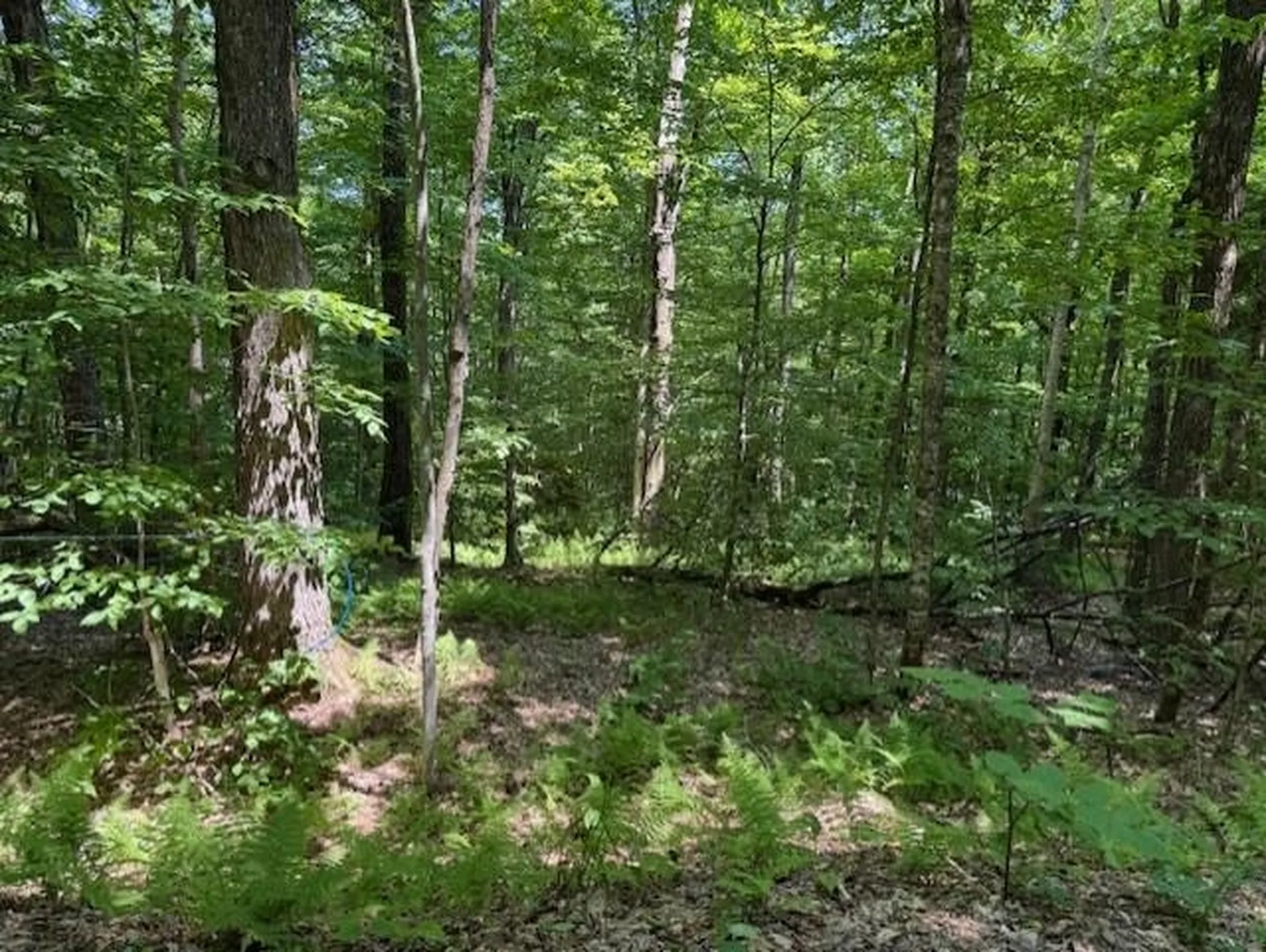 00 Westhill Road Montgomery VT 05470