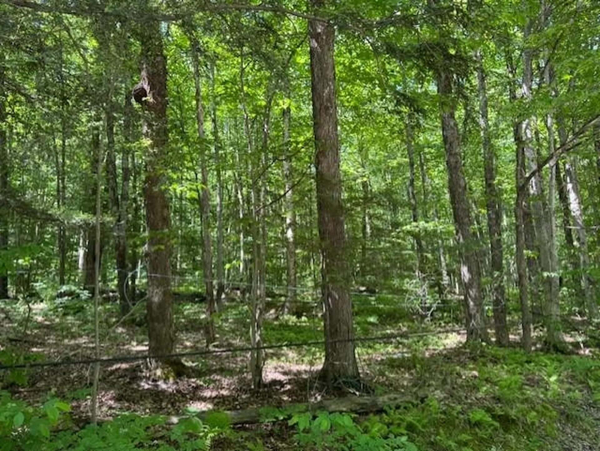 00 Westhill Road Montgomery VT 05470