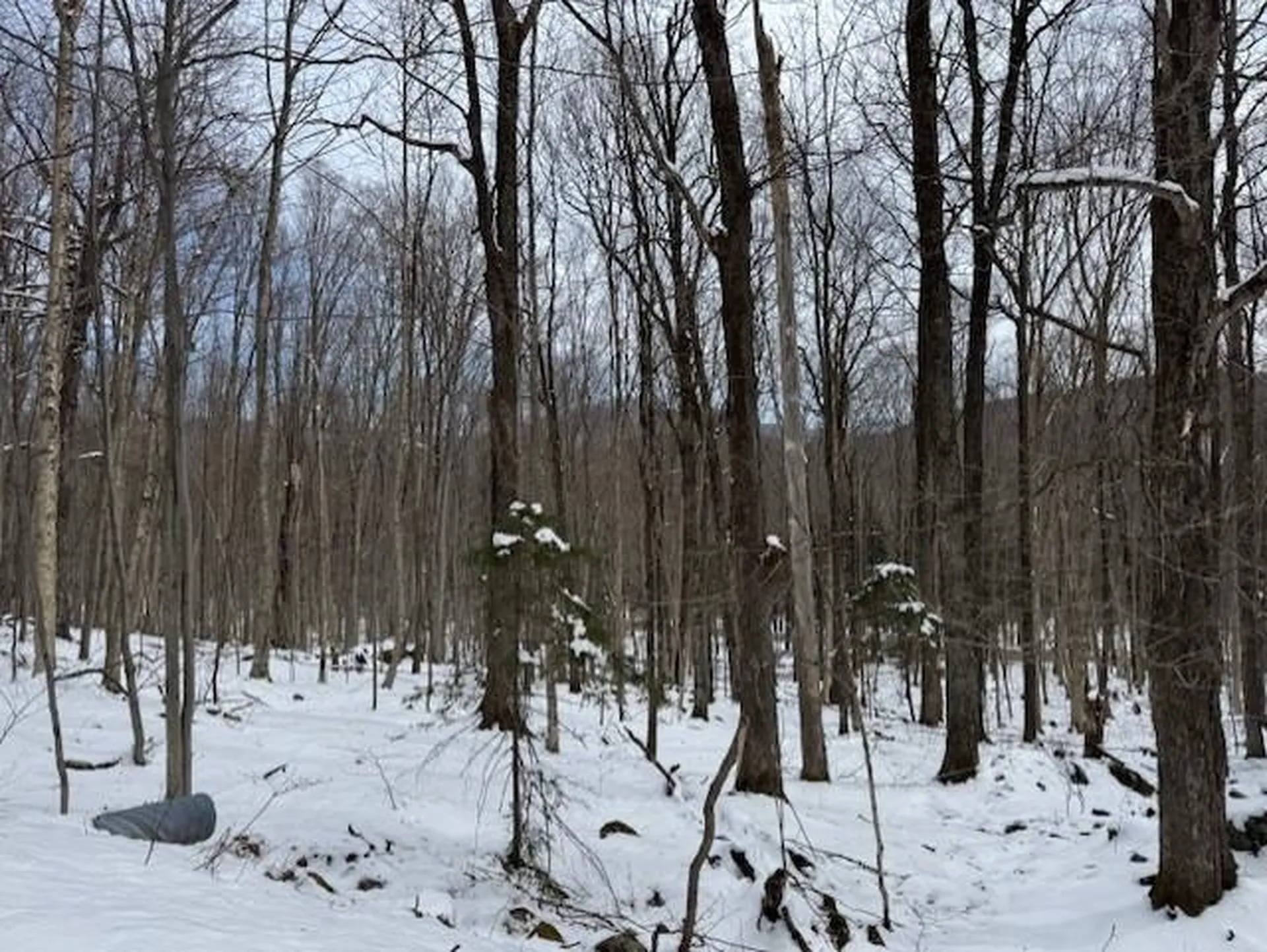 00 Westhill Road Montgomery VT 05470