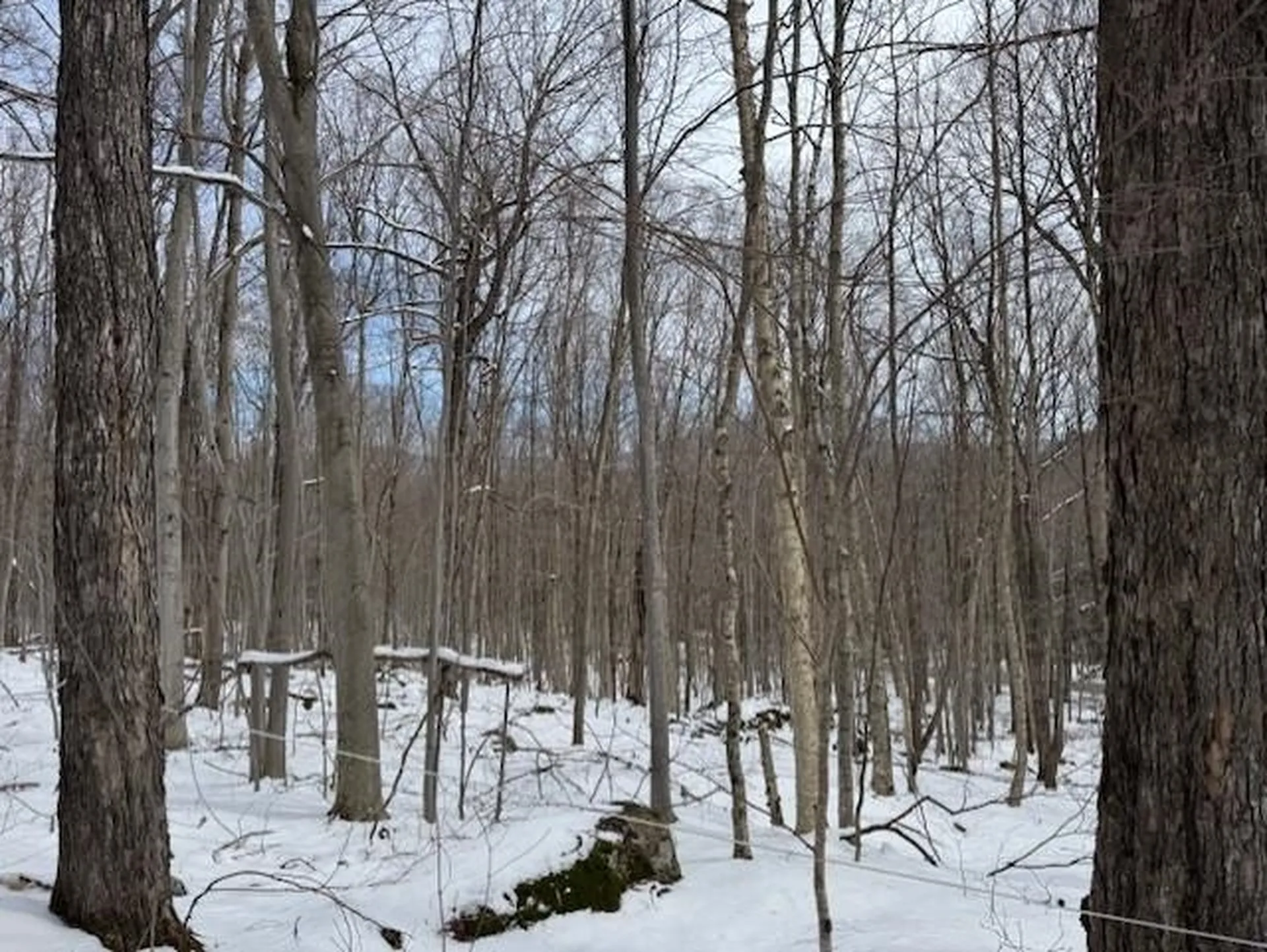 00 Westhill Road Montgomery VT 05470