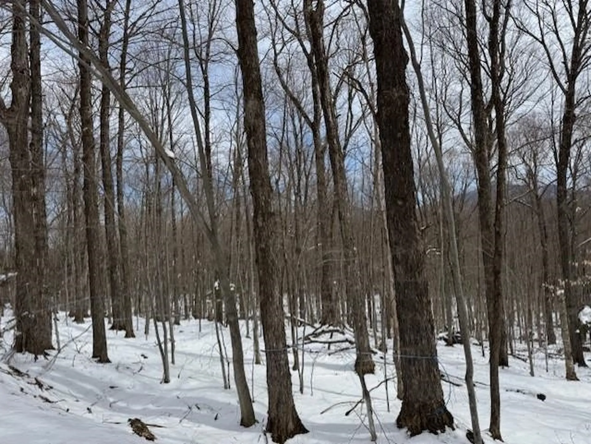 00 Westhill Road Montgomery VT 05470