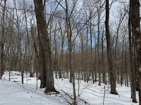 00 Westhill Road Montgomery VT 05470