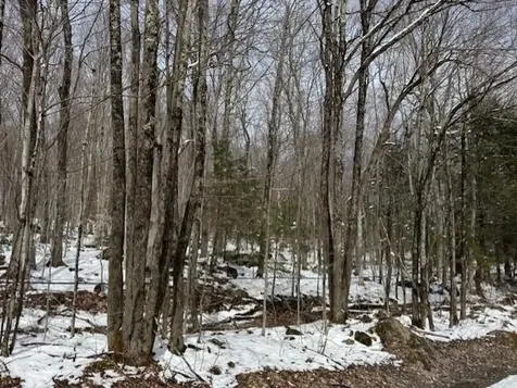 00 Westhill Road Montgomery VT 05470