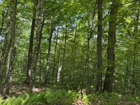 00 Westhill Road Montgomery VT 05470