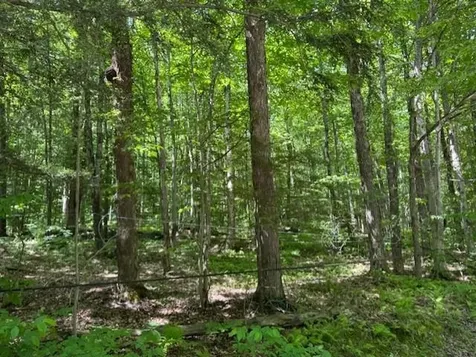 00 Westhill Road Montgomery VT 05470