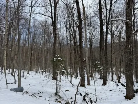 00 Westhill Road Montgomery VT 05470