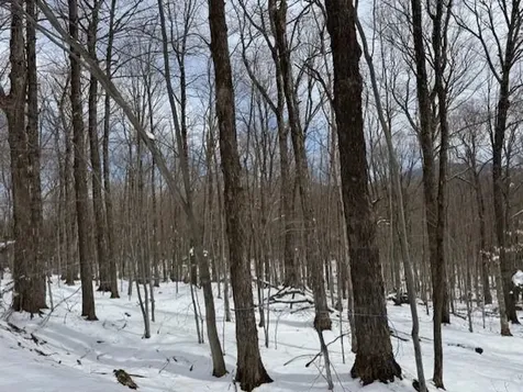 00 Westhill Road Montgomery VT 05470