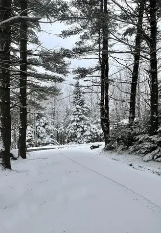 10 East Village Circle Wilmington VT 05363