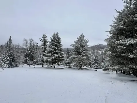 10 East Village Circle Wilmington VT 05363