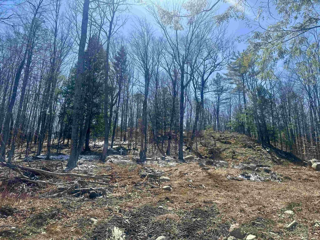 151 Woodland Heights Road Springfield NH 03284