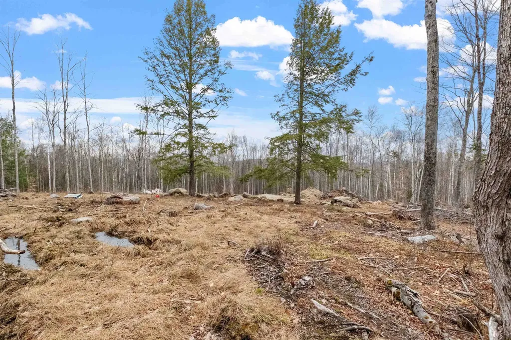 151 Woodland Heights Road Springfield NH 03284