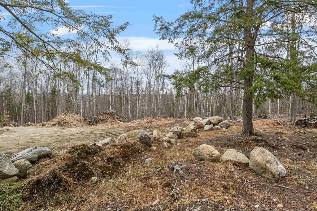 151 Woodland Heights Road Springfield NH 03284