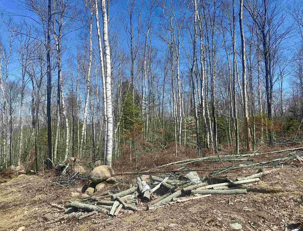 151 Woodland Heights Road Springfield NH 03284