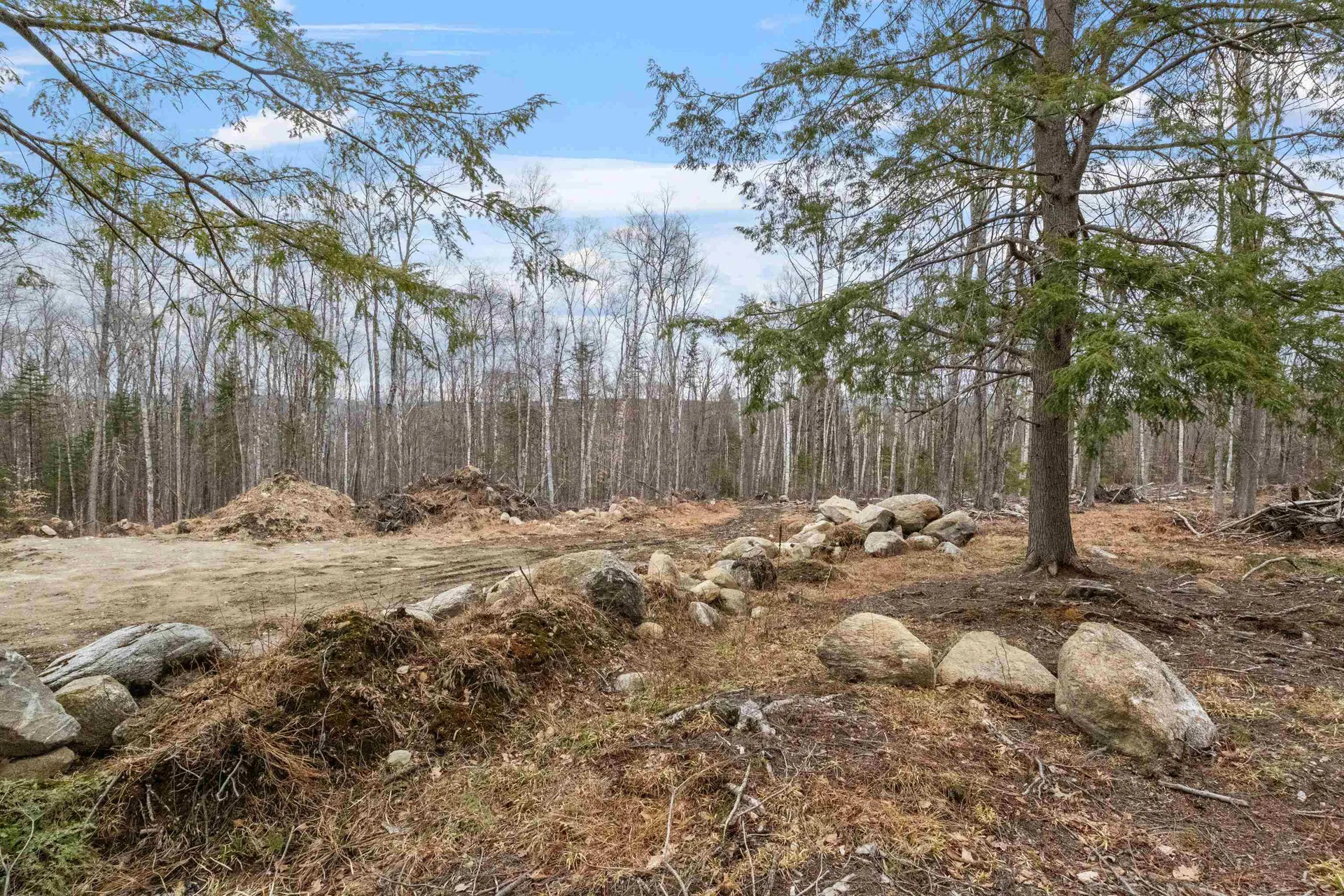 151 Woodland Heights Road Springfield NH 03284