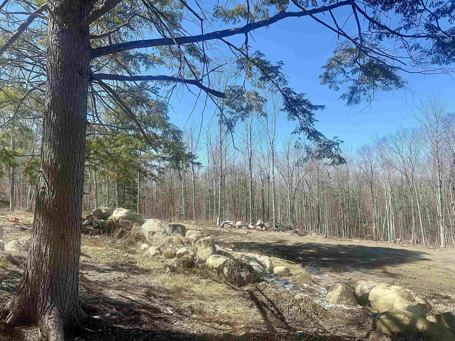 151 Woodland Heights Road Springfield NH 03284