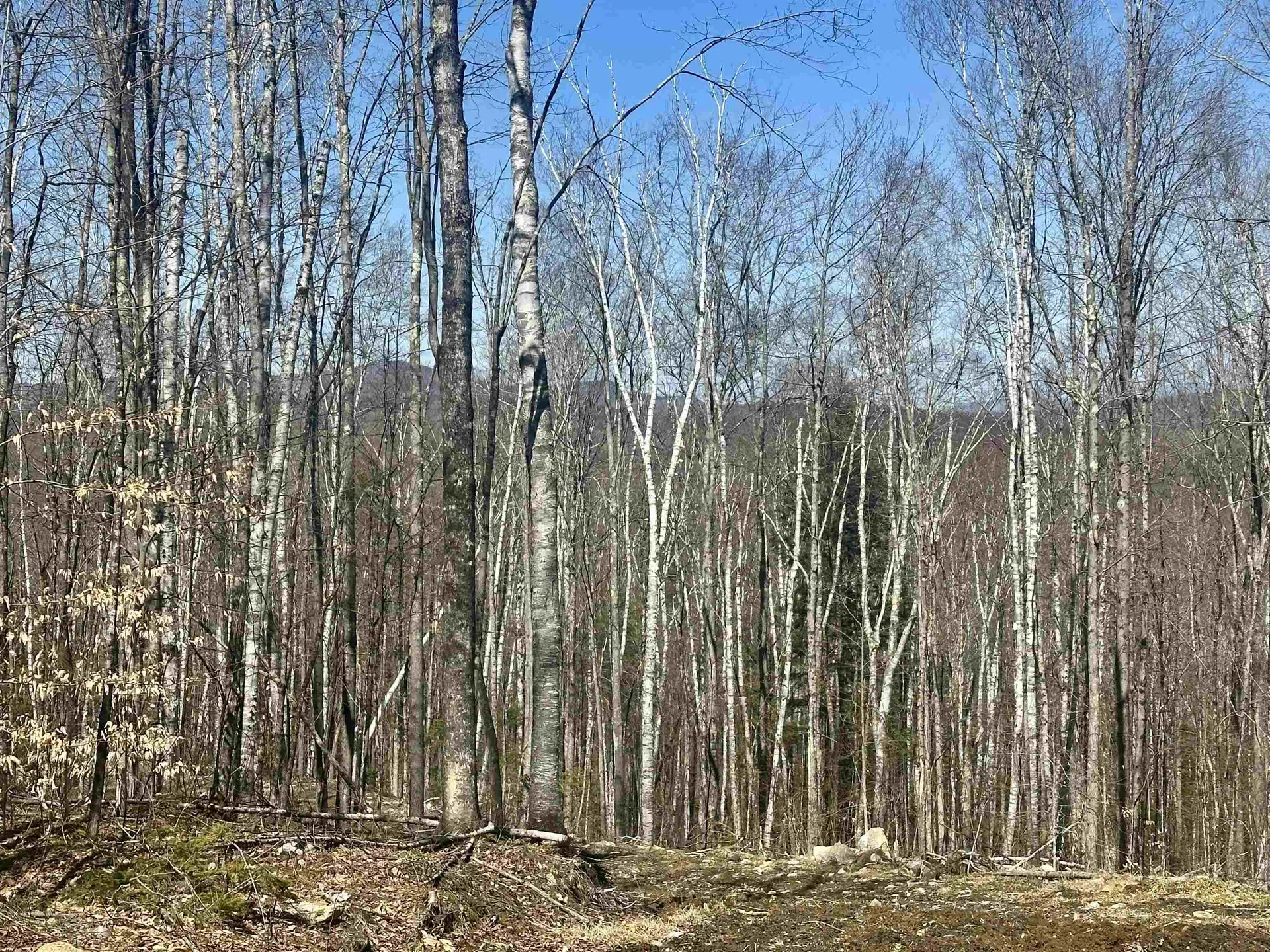 151 Woodland Heights Road Springfield NH 03284