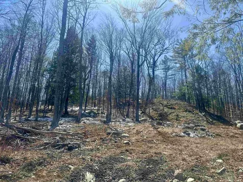 151 Woodland Heights Road Springfield NH 03284