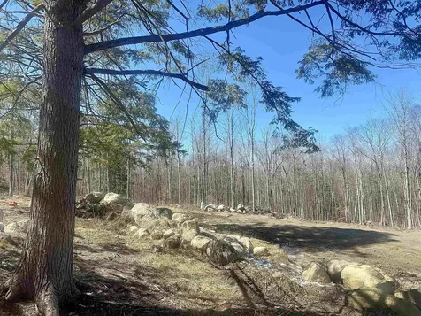 151 Woodland Heights Road Springfield NH 03284