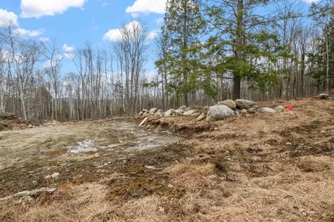 151 Woodland Heights Road Springfield NH 03284