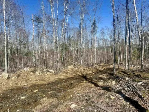 151 Woodland Heights Road Springfield NH 03284