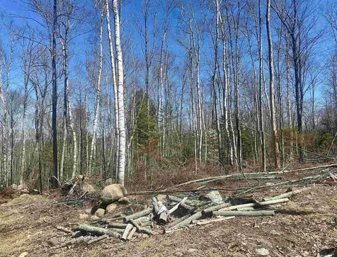 151 Woodland Heights Road Springfield NH 03284