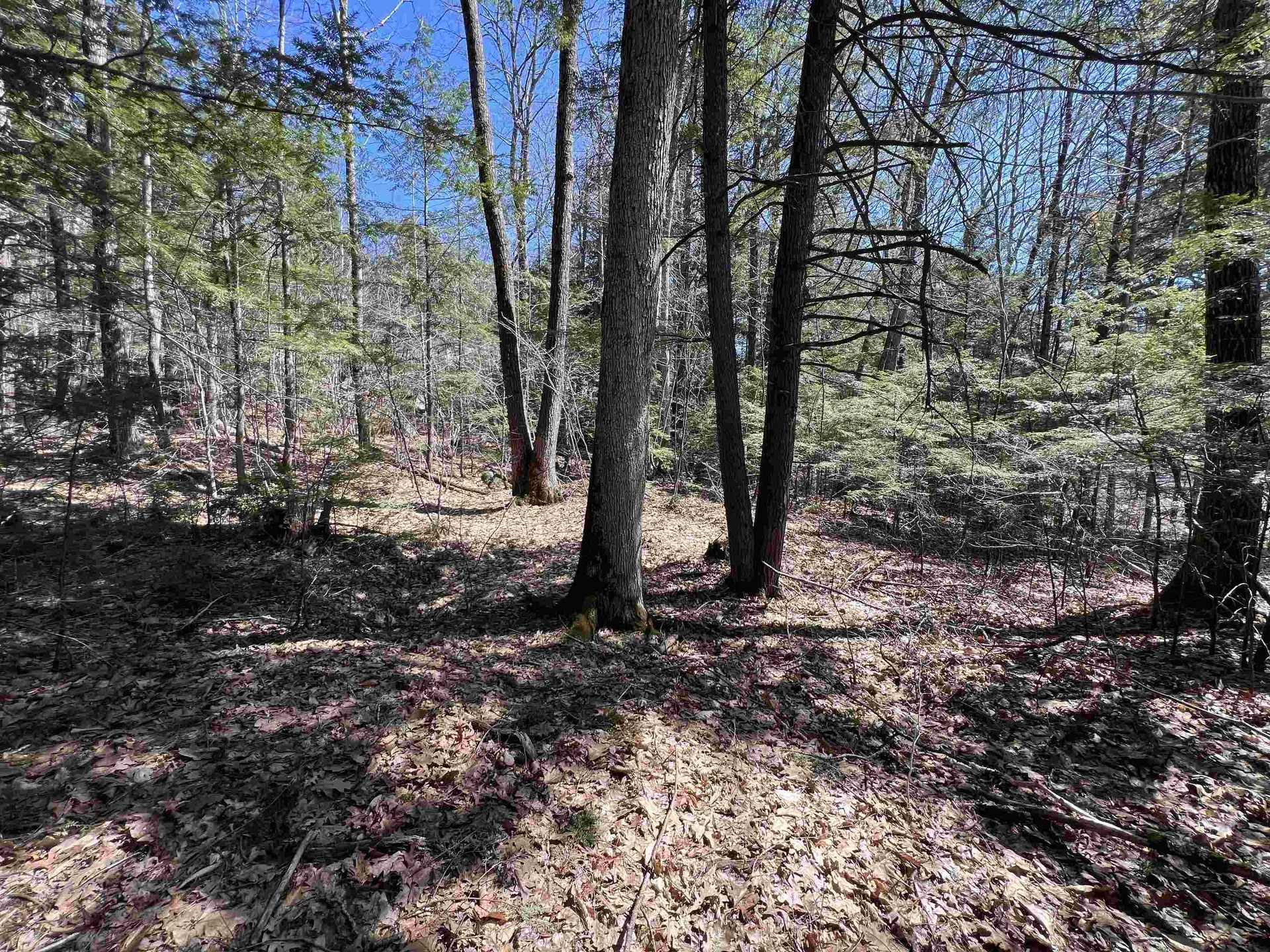 Roby Road Sutton NH 03273