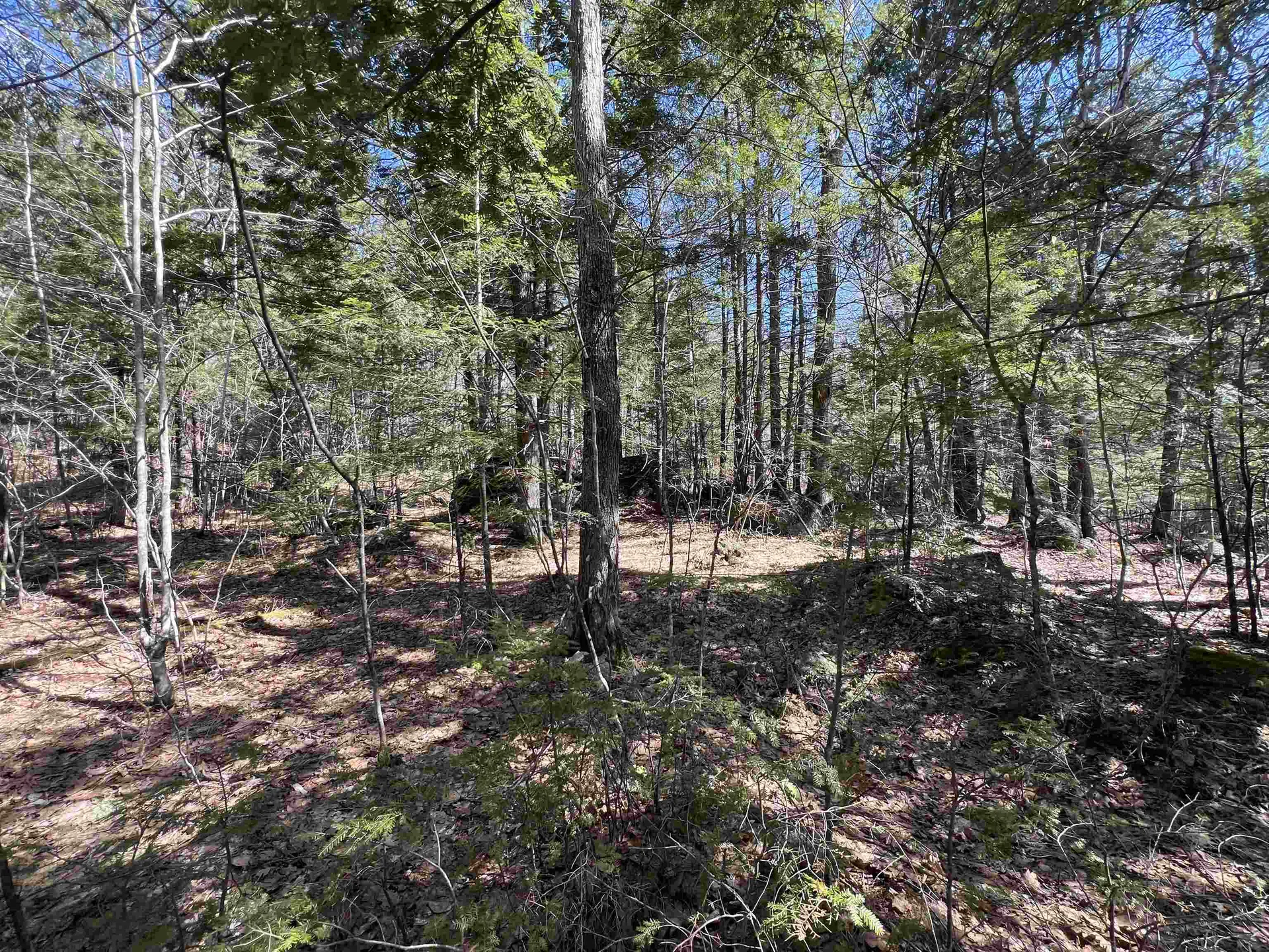 Roby Road Sutton NH 03273