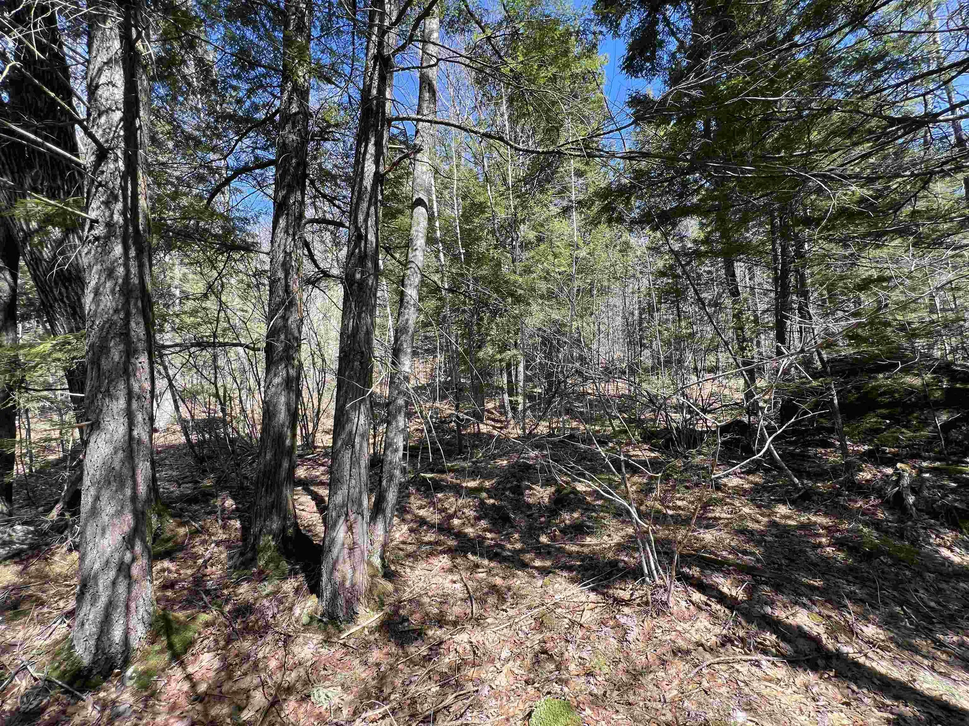 Roby Road Sutton NH 03273