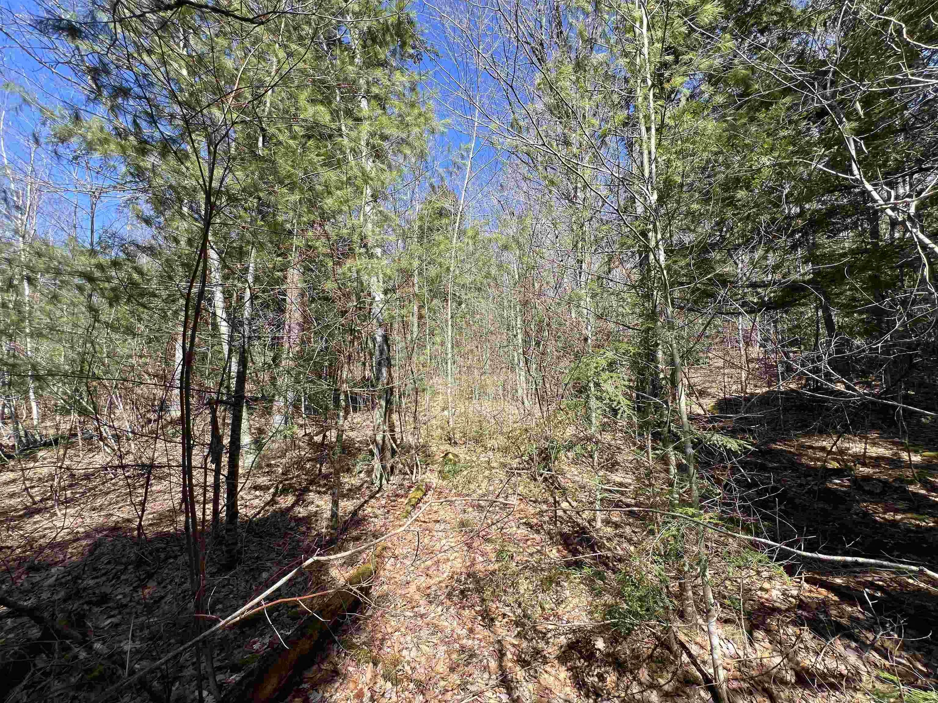 Roby Road Sutton NH 03273