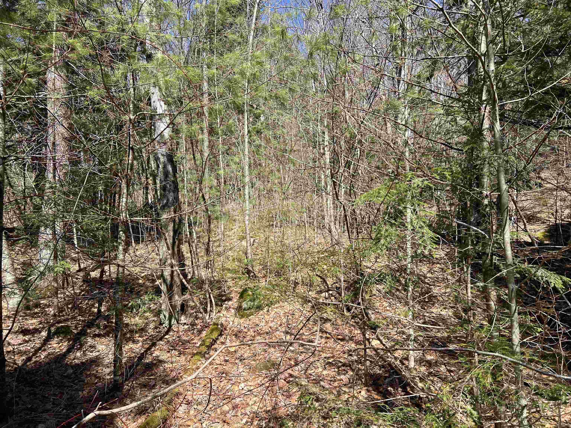 Roby Road Sutton NH 03273