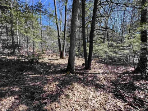 Roby Road Sutton NH 03273
