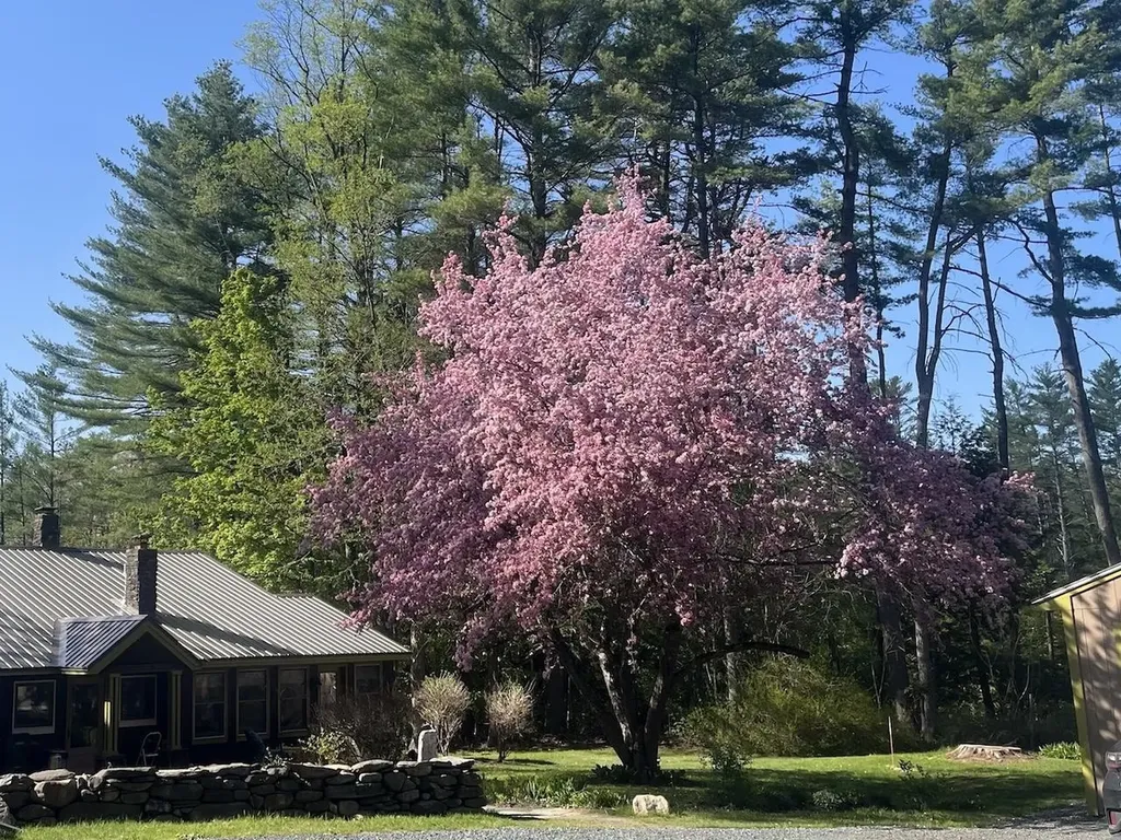 1567 Old Quechee Road Hartford VT 05001