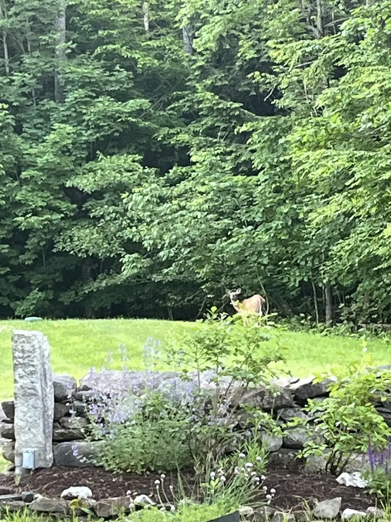 1567 Old Quechee Road Hartford VT 05001