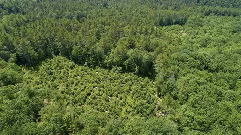 245 Deerfield Road Allenstown NH 03275