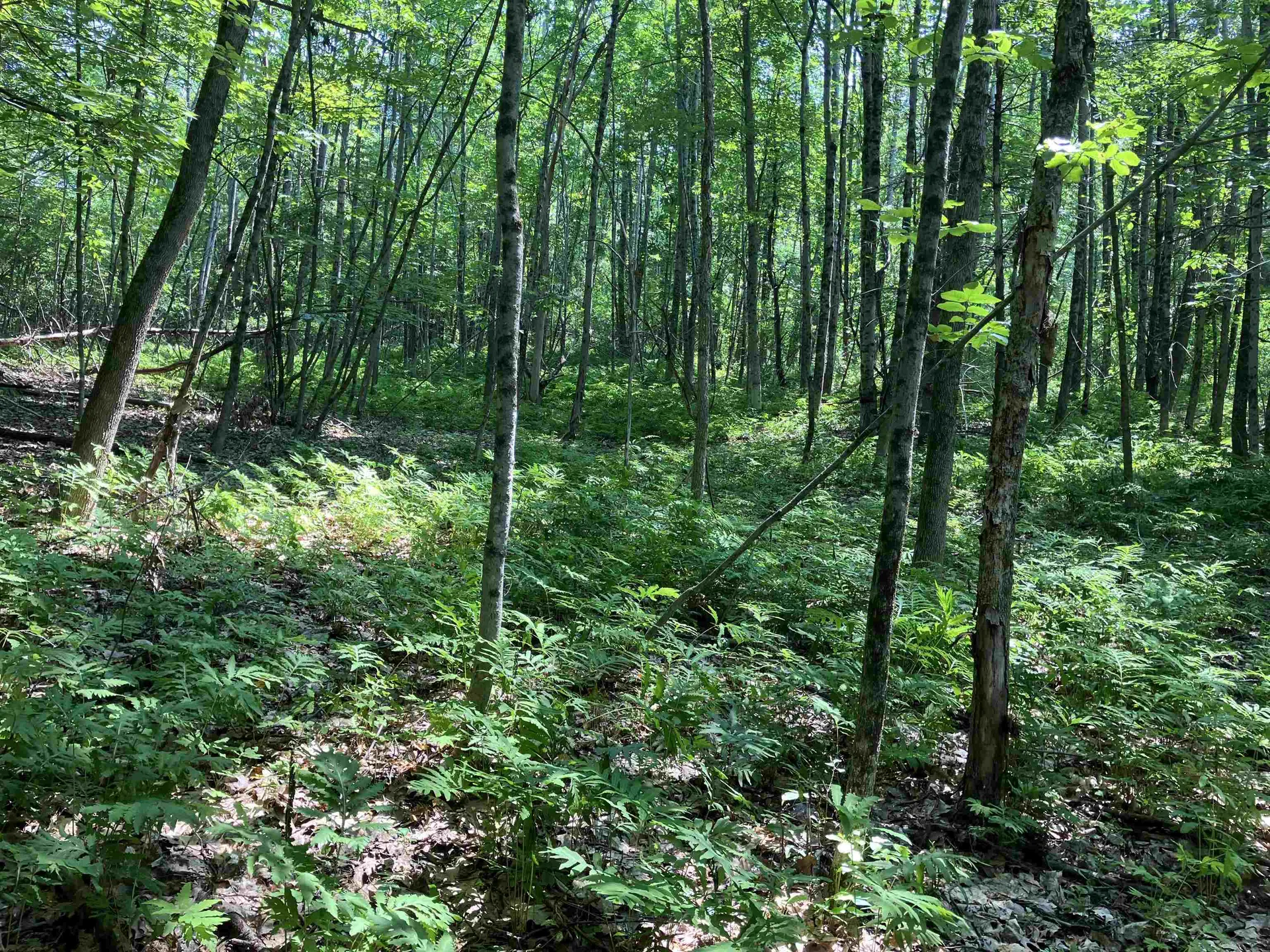 Slab City Road Claremont NH 03743