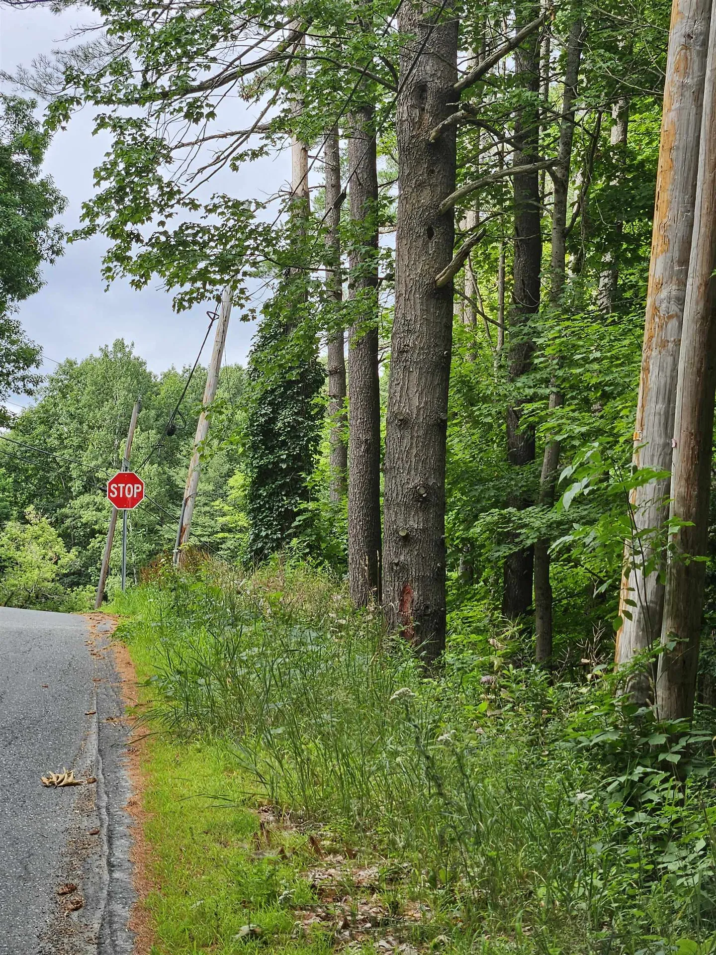 Slab City Road Claremont NH 03743
