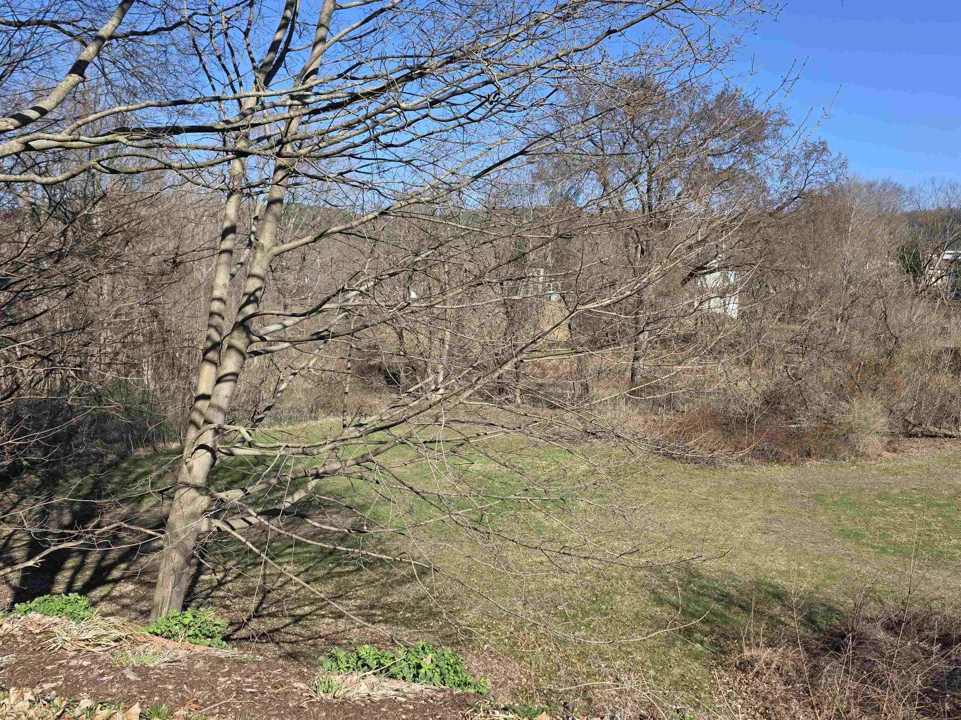 3 Fitch Court Windsor VT 05089