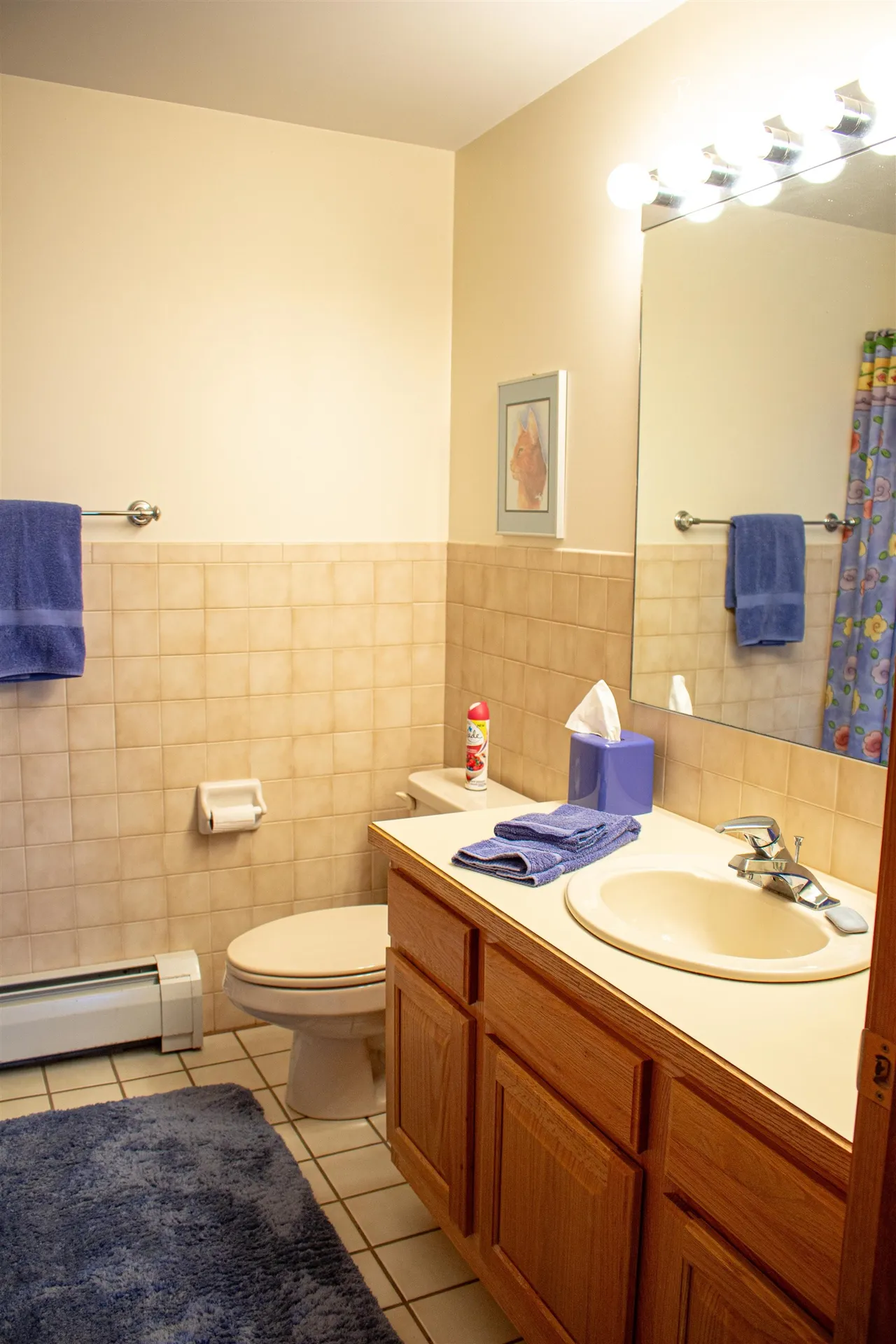 1387 Vt Route 101 Troy VT 05859