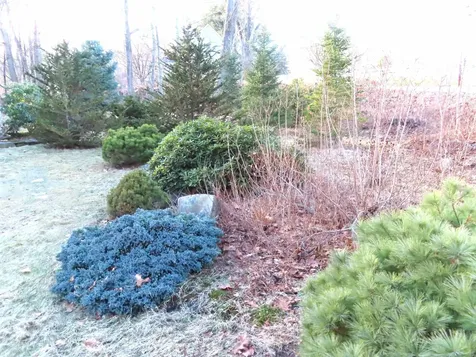 121 Pond Brook Road Chesterfield NH 03466