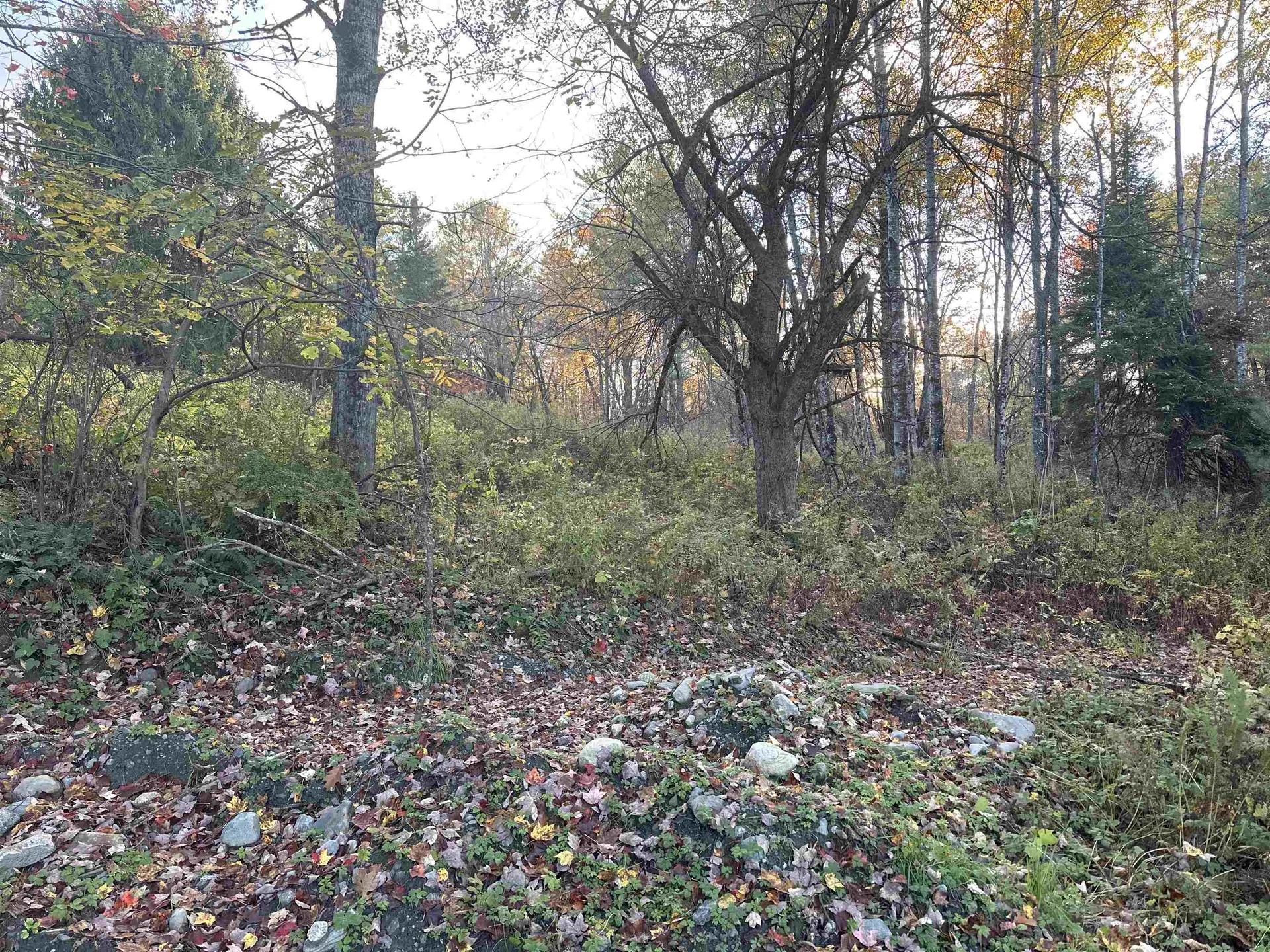 70 Hodge Hill Road Lisbon NH 03585