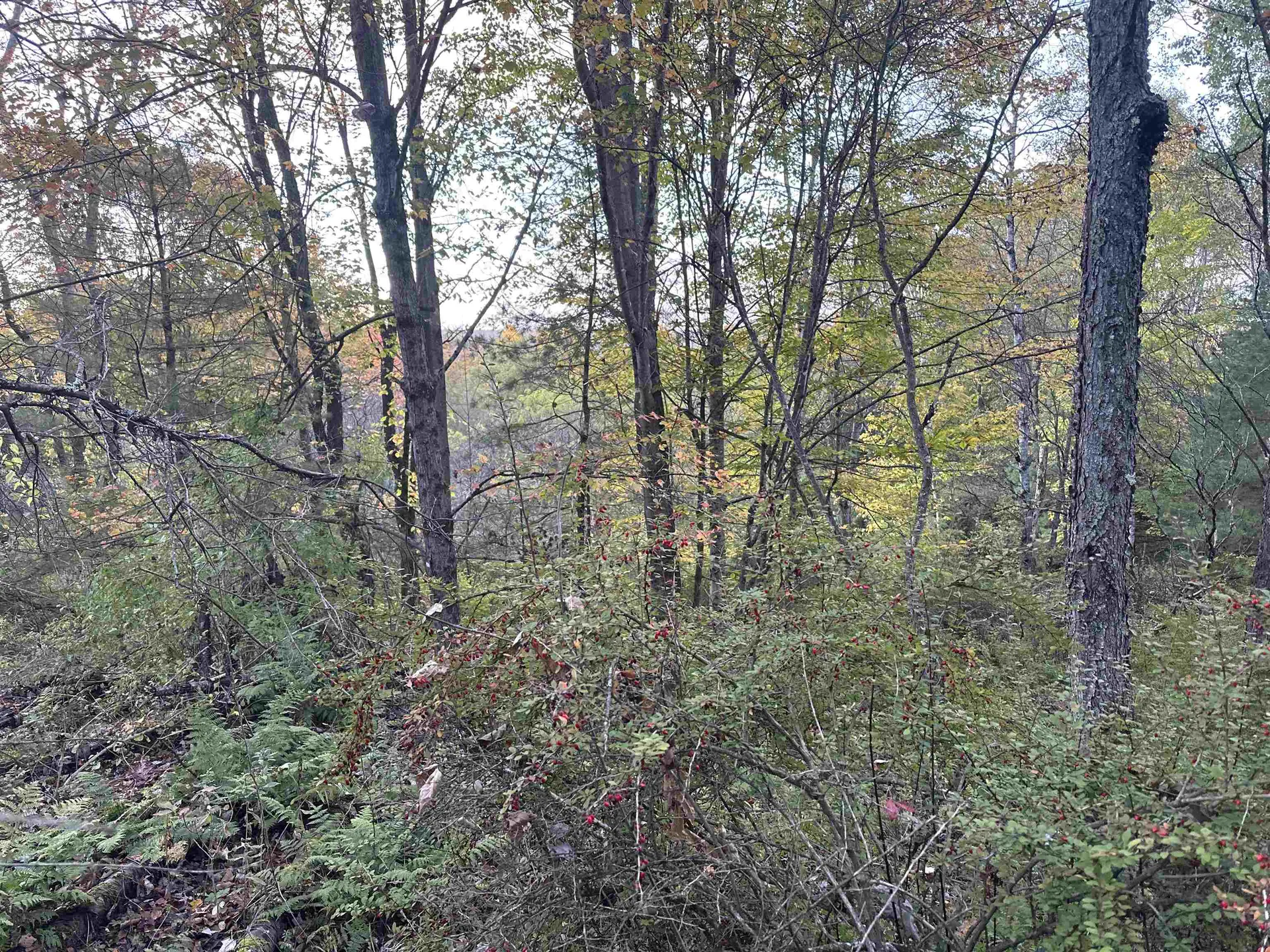 70 Hodge Hill Road Lisbon NH 03585