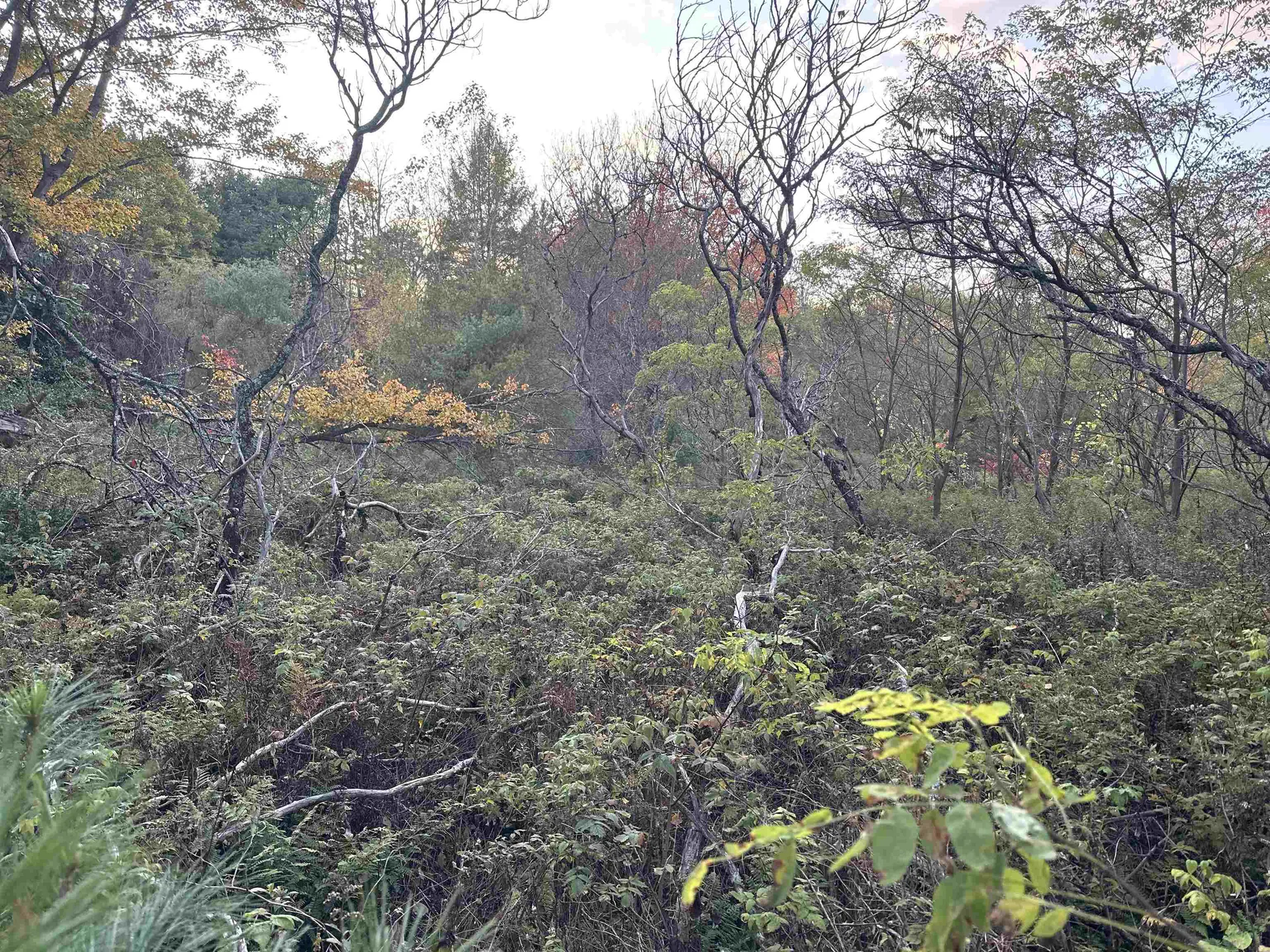 70 Hodge Hill Road Lisbon NH 03585