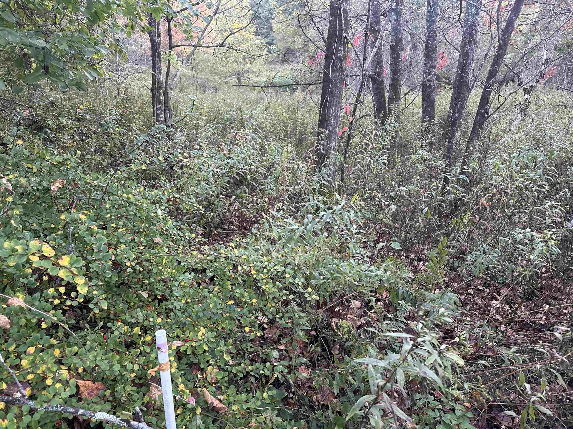 70 Hodge Hill Road Lisbon NH 03585