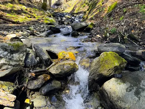 53 Rocky Road Warren VT 05674