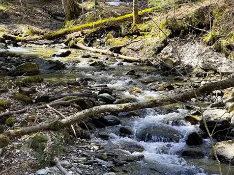 53 Rocky Road Warren VT 05674
