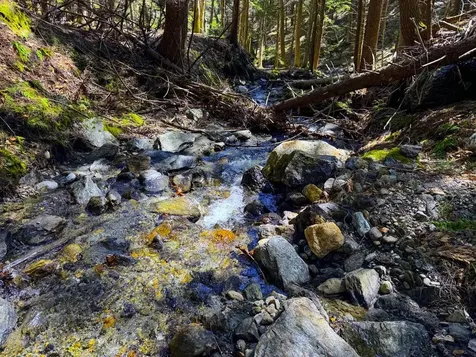 53 Rocky Road Warren VT 05674