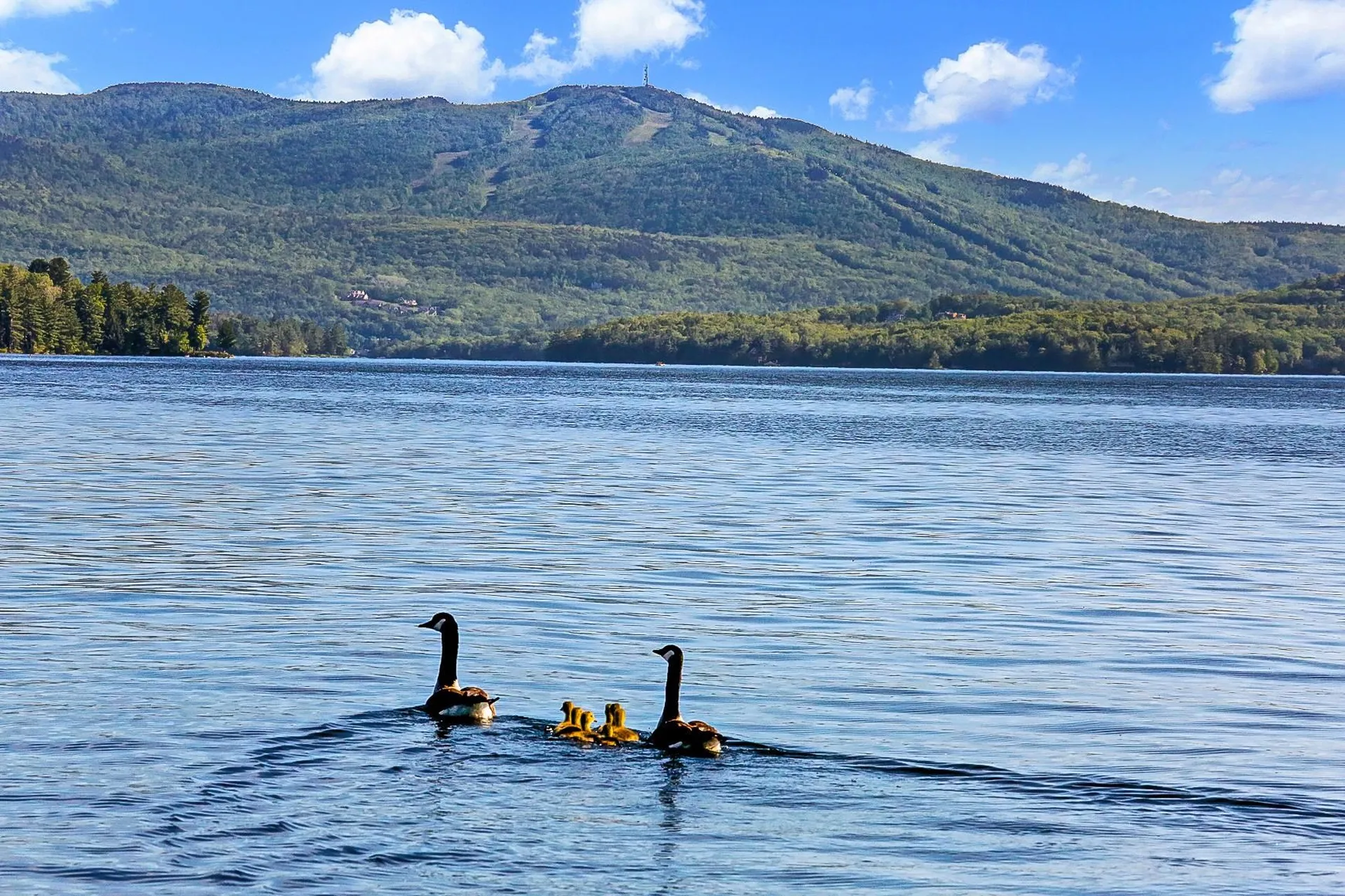 136 Bowles Road Newbury NH 03255