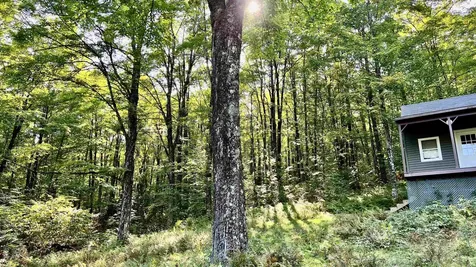 2075 Codding Hollow Road Johnson VT 05656