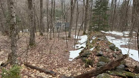 2075 Codding Hollow Road Johnson VT 05656