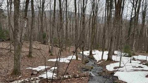 2075 Codding Hollow Road Johnson VT 05656